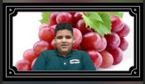 fruits and vegetables video